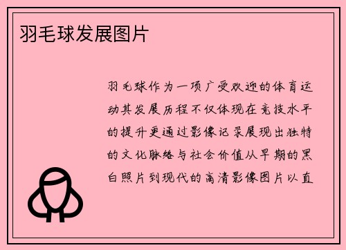 羽毛球发展图片
